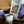 Dr. Nurse Paula Starter Packs